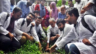 ডা. জোবাইদা রহমানের জন্মদিনে ঢামেকে বৃক্ষরোপণ, দোয়া মাহফিল কর্মসূচি